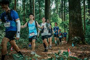 BIB: 
                            <button type="button" onclick="openModal(26135293)" class="btn btn-primary btn-sm float-right btn-popup" data-toggle="modal" data-target=".modal-high-quality">
                        <i class="fas fa-shopping-cart"></i> Add to Cart
                    </button>
                                            <button type="button" onclick="isThisMe(26135293, true)" class="btn btn-success btn-sm float-right btn-popup btn-isme hidden" data-toggle="tooltip" data-placement="bottom" title="นี่คือรูปของคุณใช่ไหม คลิกที่นี่เพื่อเอาเข้าอัลบั้ม">
                        <i class="fas fa-plus"></i> Add to album
                    </button>
                    <button type="button" onclick="isThisMe(26135293, false)" class="btn btn-warning btn-sm float-right btn-popup btn-isnotme hidden">
                        <i class="fas fa-ban"></i> Remove from album
                    </button>